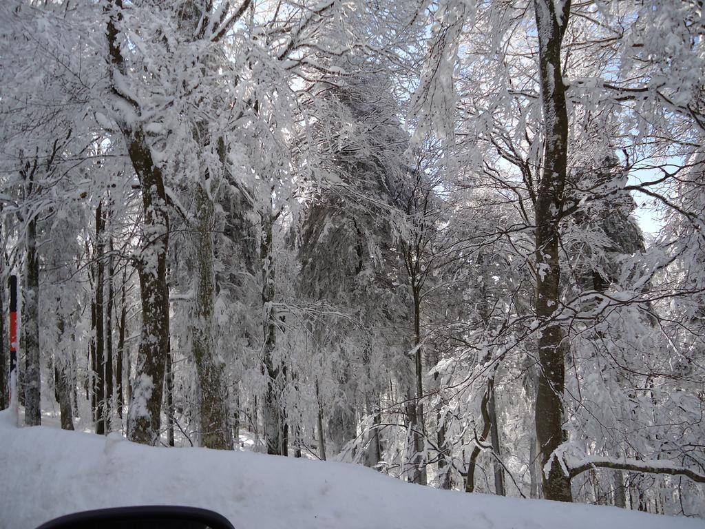 Berghotel Schiller Schonach im Schwarzwald Kültér fotó
