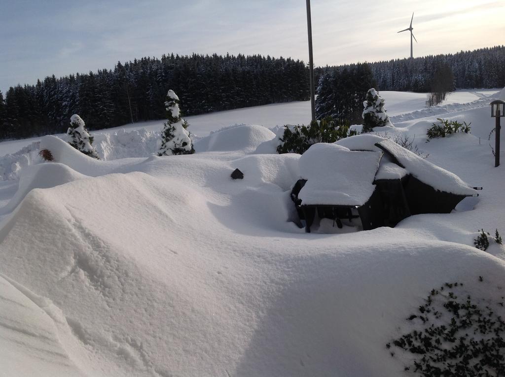Berghotel Schiller Schonach im Schwarzwald Kültér fotó
