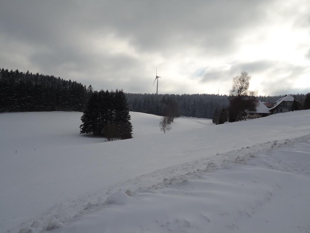 Berghotel Schiller Schonach im Schwarzwald Kültér fotó